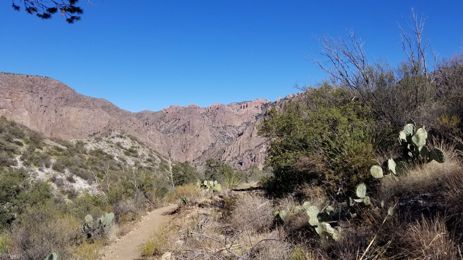 Basin and Window View Hikes 